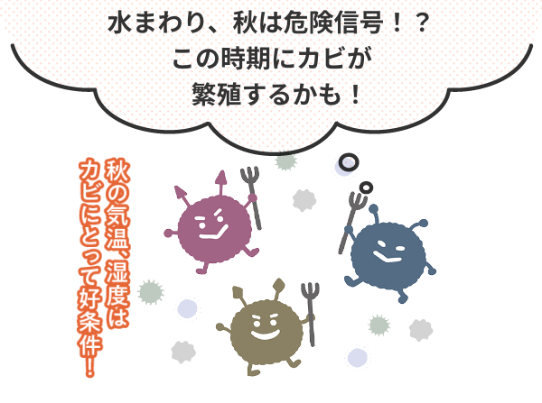 サービス