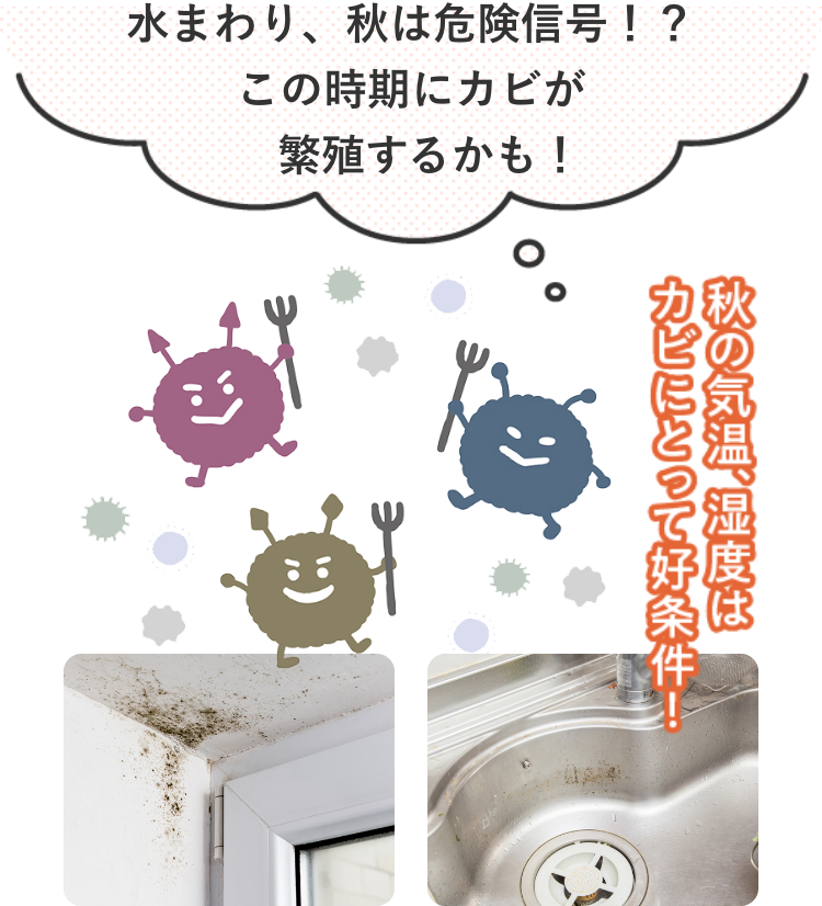 サービス